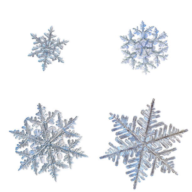 Four snowflakes isolated on white background stock photo