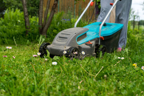 istock outdoor worker mowing the lawn 1059315142