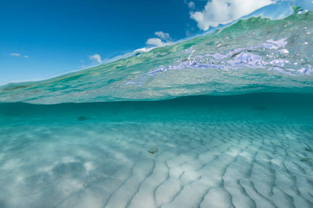 istock Caribbean Sea 1059316776