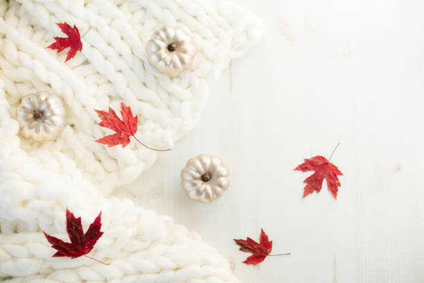 istock Pumpkins and autumn leaves on table 1059316974