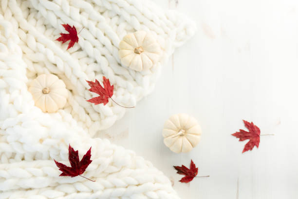 Pumpkins and autumn leaves on table