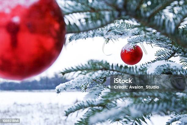 Christmas Tree And Red Bubles Stock Photo - Download Image Now - Christmas Ornament, Non-Urban Scene, Snow
