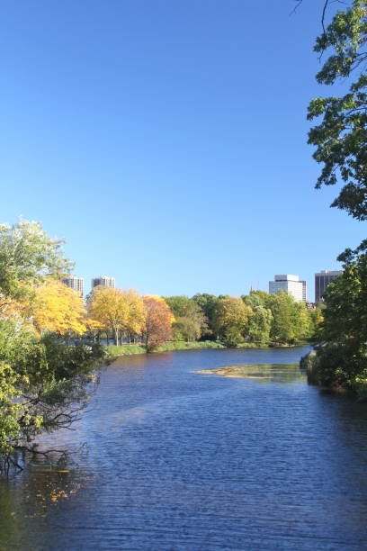 istock Colorful Autumn Foliage and Blue Sky 1059323812