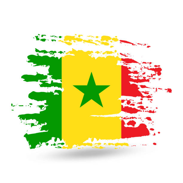 grunge pinselstrich mit senegal nationalflagge - senegal africa vector illustration and painting stock-grafiken, -clipart, -cartoons und -symbole