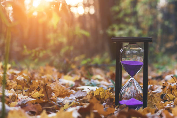 istock Changing seasons. Transience of life. 1059326024