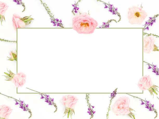 istock Beautiful pink roses heads on pink background 1059326302