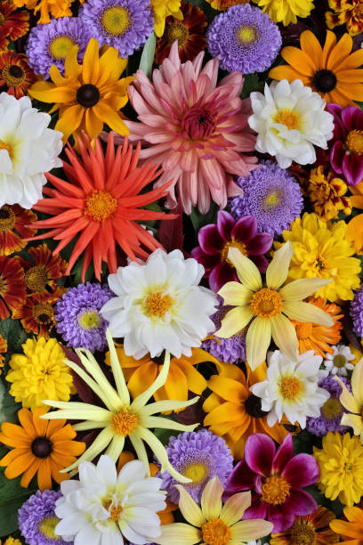 istock Beautiful floral background. Greeting card concept. 1059329502