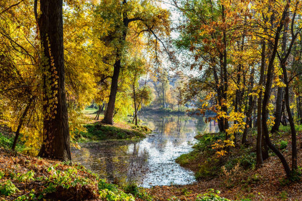 autumn beach in Kiev on Hydropark