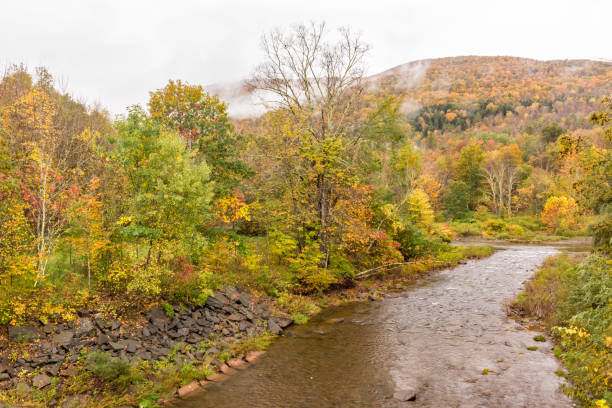 istock East Kill Schoharie Creek Confluence 1059332480