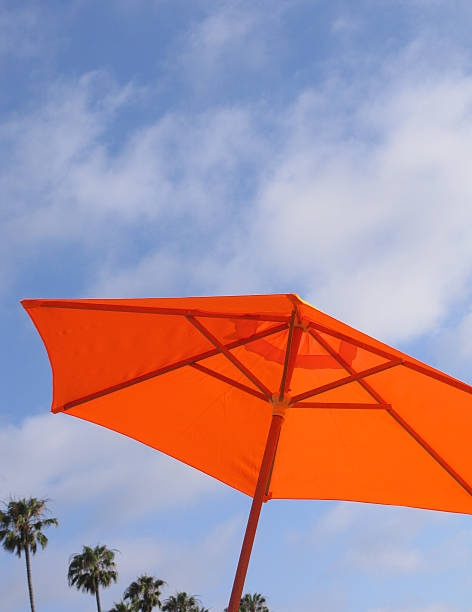 istock beach umbrella and palm trees 105933354