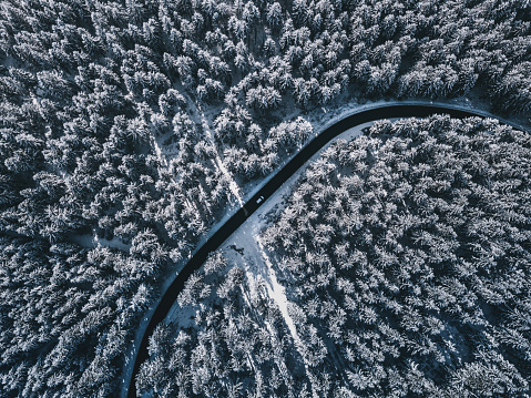 Road leading through Winter Forest, Drone View