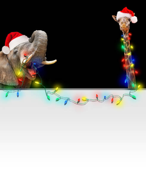 istock Zoo Giraffe and Elephant Christmas Light Banner 1059337162