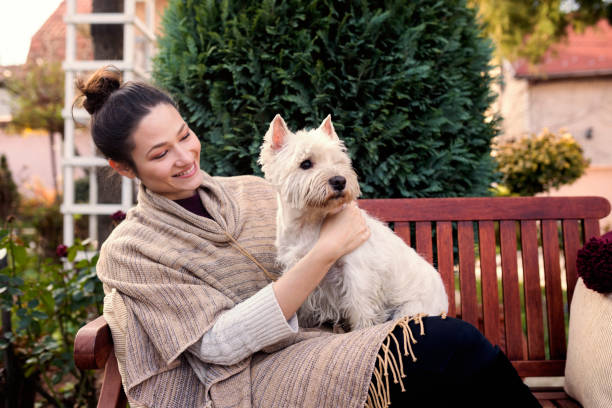 Cheerful young woman with cute dog Cheerful young woman with cute white dog enjoying outdoors west highland white terrier stock pictures, royalty-free photos & images