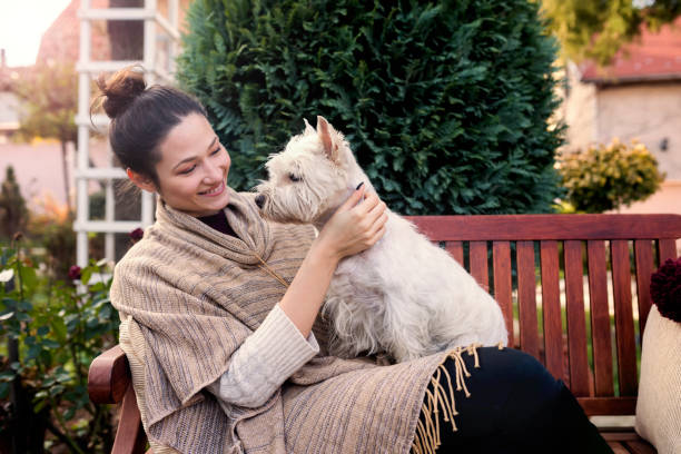 istock Cheerful young woman with cute dog 1059338632