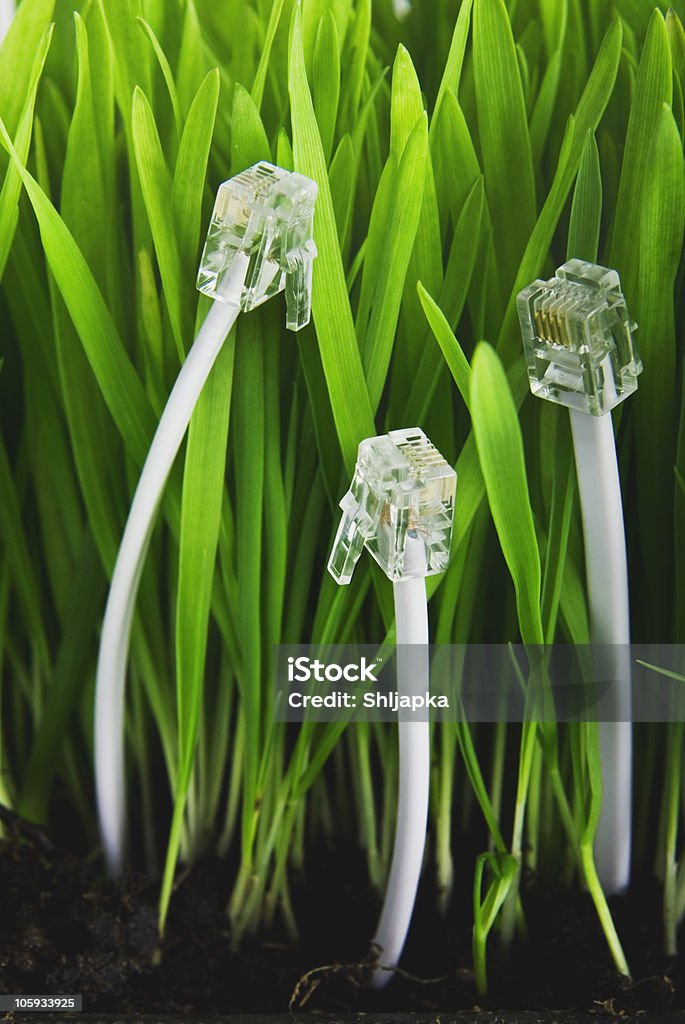 Plant und computer cable - Lizenzfrei Abstrakt Stock-Foto