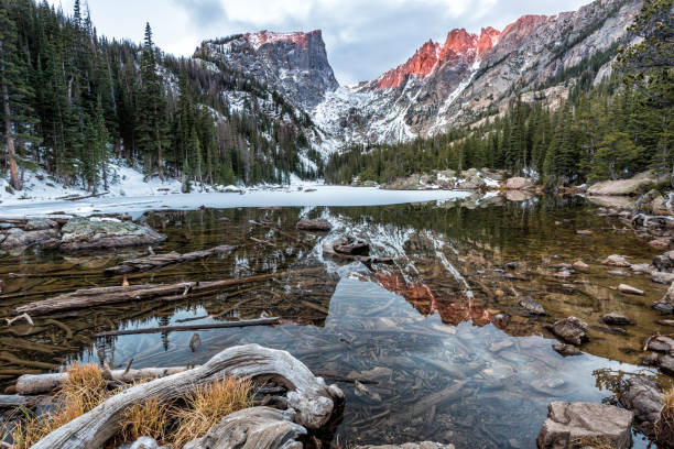 istock Dream Lake Shallows Driftwood 1059341940