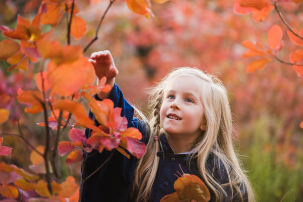 Child touch red leaf outdoors during walk in park