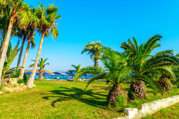 istock Landscape around Cape Greco, Cyprus 1059344350