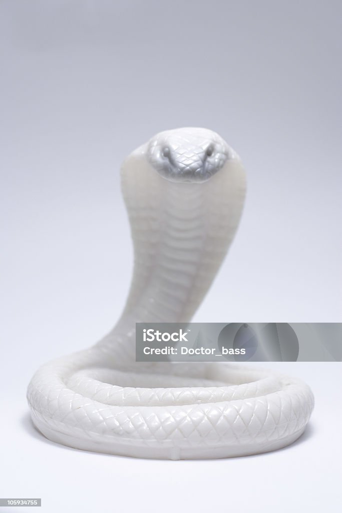 White serpente - Foto stock royalty-free di Cobra