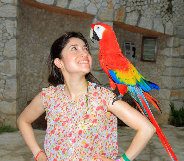 istock Woman with her domestic ara parrot 1059349530