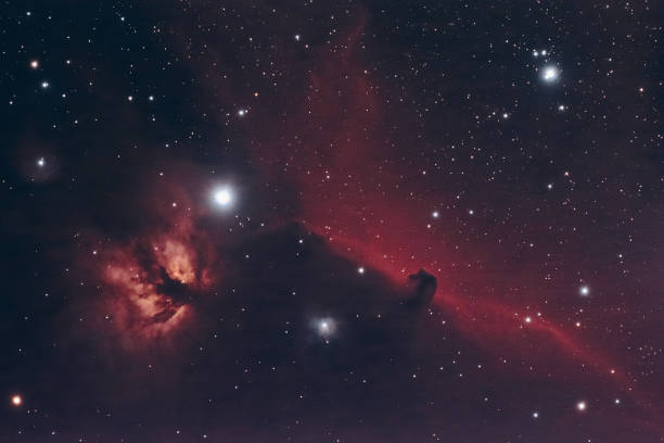 馬頭と炎星雲 - horsehead nebula ストックフォトと画像