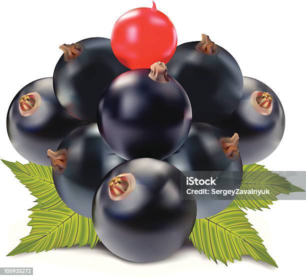 Ribes Rosso E Nero - Immagini vettoriali stock e altre immagini di Cibo - Cibo, Colore nero, Dolci