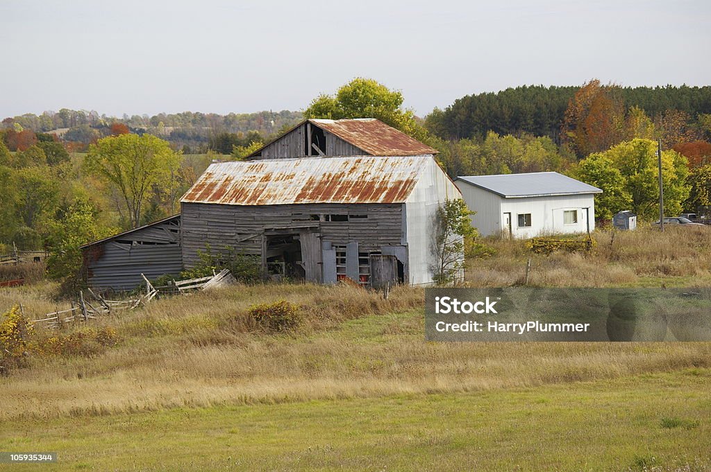 Old Farm Buildings Two older farm barns and a newer garage in a field with fall colors in the background. Agricultural Field Stock Photo