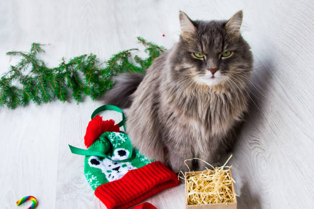 istock Christmas gifts in festive background 1059356118