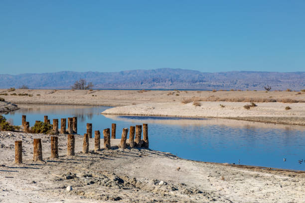 The shore of the Salton Sea with remains of an old built structure
