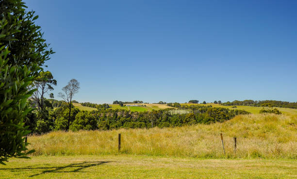 istock Great Otway National Park. Otway fly tree top walk. 1059357736