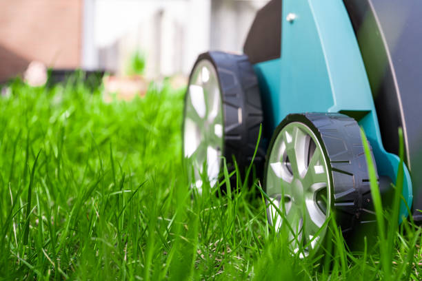 Scarifier on green grass. Work in the garden. scarifier stock photo