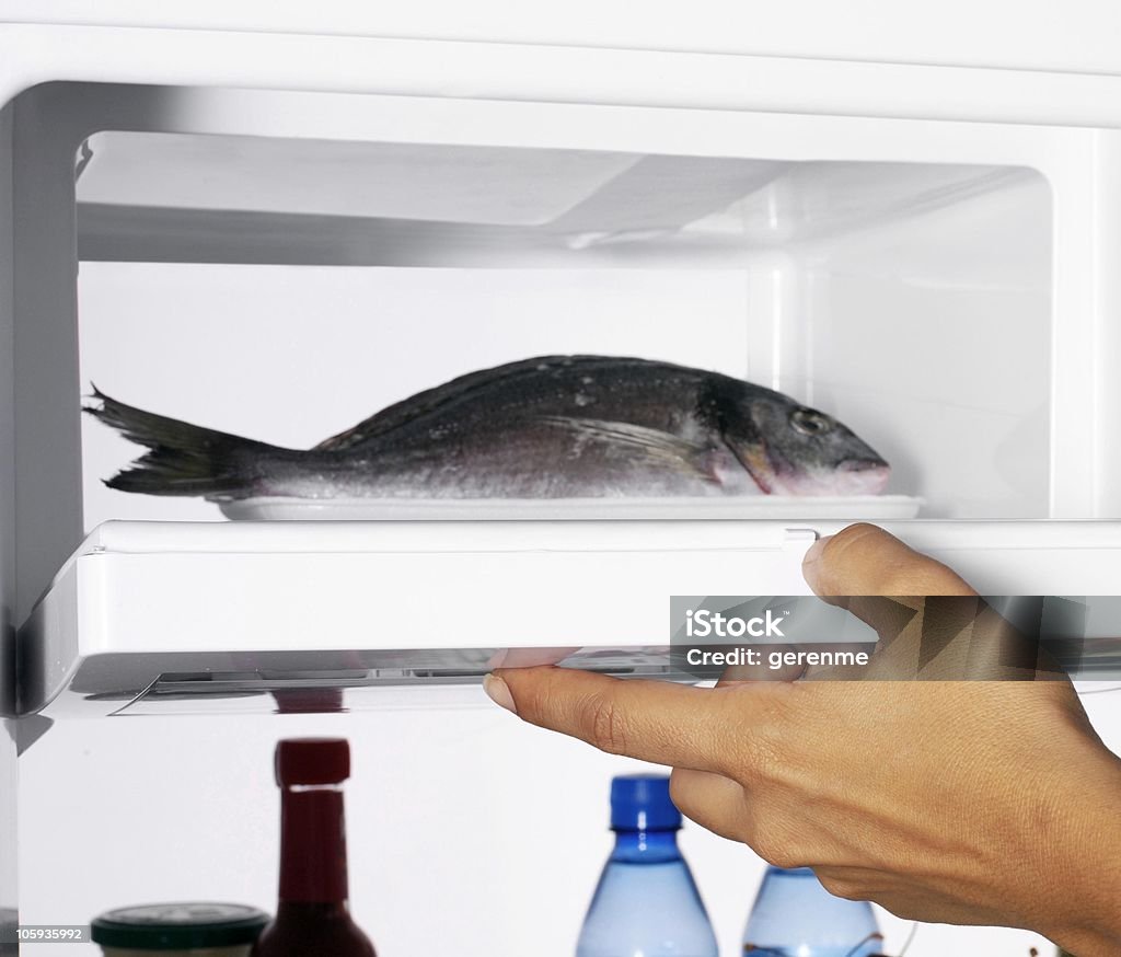 Peces en congelador - Foto de stock de Congelador libre de derechos