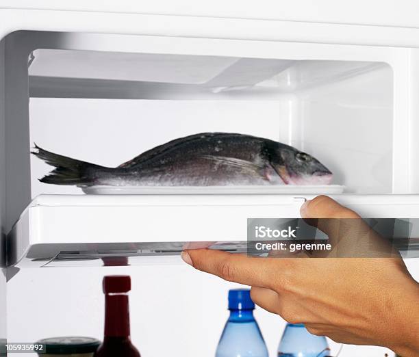 魚のフリーザー - 冷凍庫のストックフォトや画像を多数ご用意 - 冷凍庫, 魚, クローズアップ