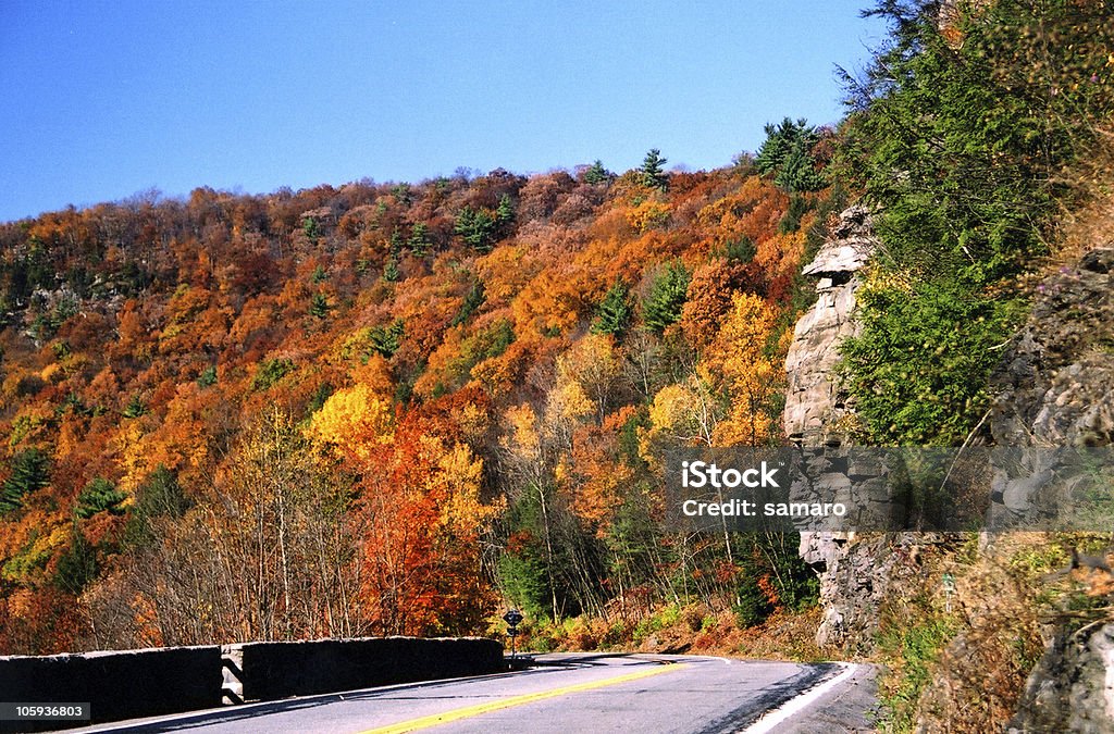 Vide Road - Photo de Automne libre de droits