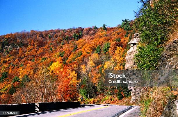 엠티 Road 0명에 대한 스톡 사진 및 기타 이미지 - 0명, 가을, 가을 단풍