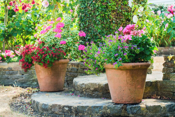 istock Beautiful backyard floral garden 1059376074