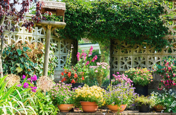 istock Beautiful backyard floral garden 1059376076