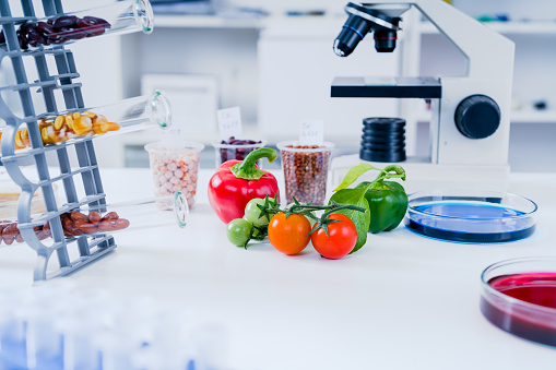 Laboratorio de química de la alimentación. Alimentos en laboratorio, dna modificar. Modificados genéticamente OMG alimentos en laboratorio photo