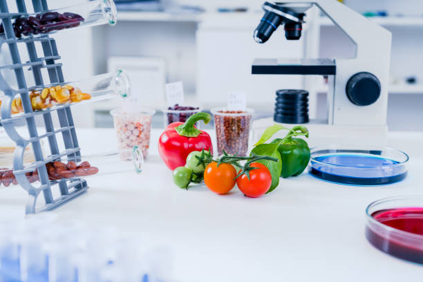 laboratorio de química de la alimentación. alimentos en laboratorio, dna modificar. modificados genéticamente omg alimentos en laboratorio - genetic modification dna tomato genetic research fotografías e imágenes de stock