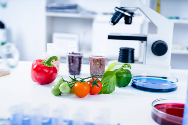 식량 공급의 화학 실험실 식품 연구소에서, dna를 수정 합니다. gmo 유전자 실험실에서 수정. - genetic modification dna tomato genetic research 뉴스 사진 이미지