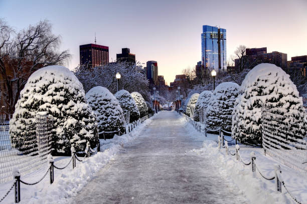 istock Winter in the Boston Public Garden 1059387700