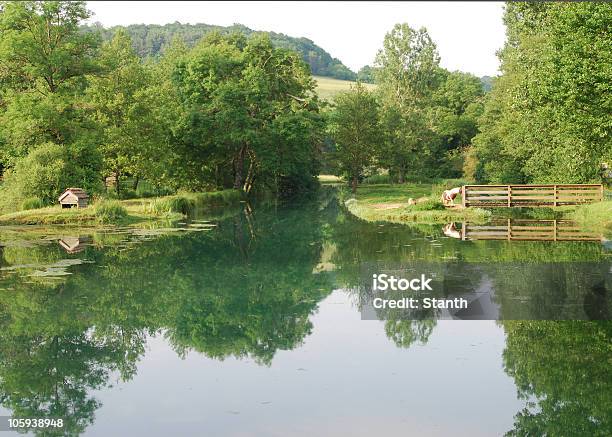 Ländliche Landschaft In Der Champagne Frankreich Stockfoto und mehr Bilder von Agrarbetrieb - Agrarbetrieb, Baum, Domestizierte Tiere