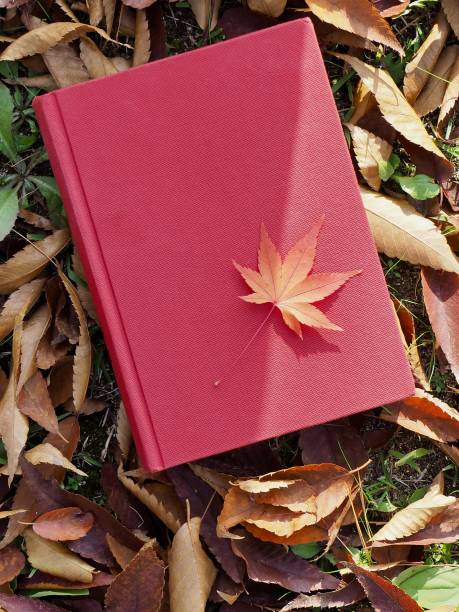 istock Books and autumn maple leaves 1059403436
