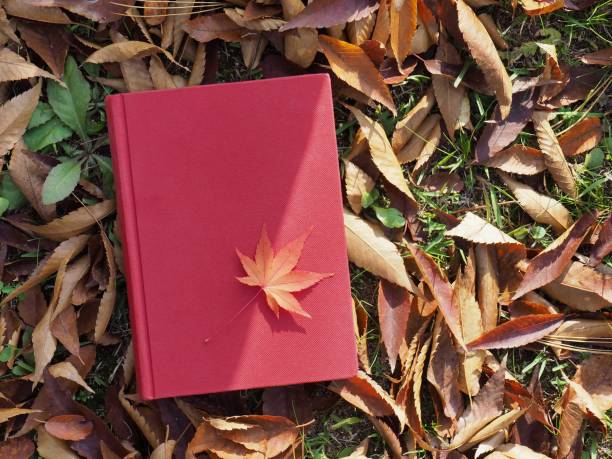 istock Books and autumn maple leaves 1059403438