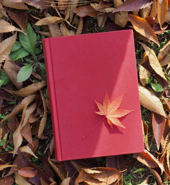 istock Books and autumn maple leaves 1059403440