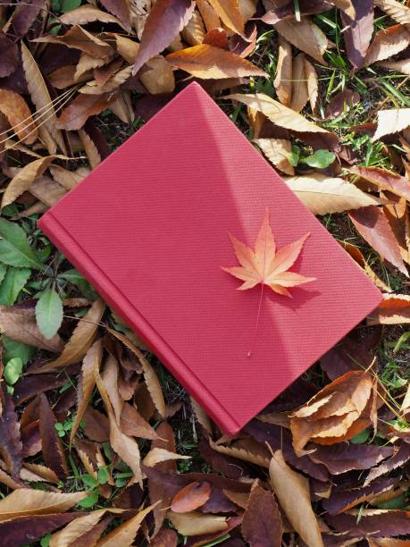 istock Books and autumn maple leaves 1059403460