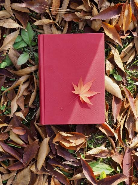 istock Books and autumn maple leaves 1059403462
