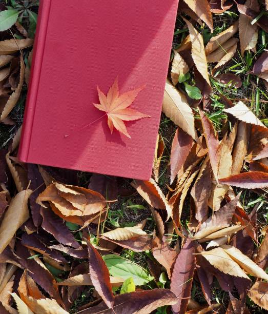 istock Books and autumn maple leaves 1059403470