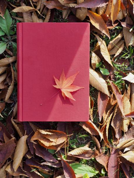 istock Books and autumn maple leaves 1059403472