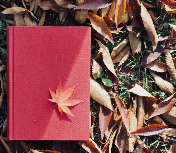 istock Books and autumn maple leaves 1059403478